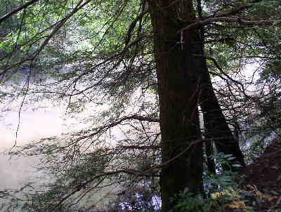 One of several nice views of the river along the way.