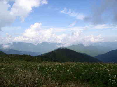 Looking Westward.