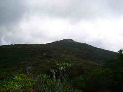 Beautiful Tennent Mtn.!