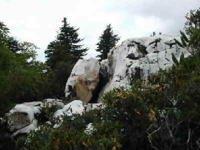 One of the white quartz cliffs on Shining Rock Mtn.