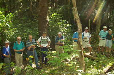 The Long Branch Trail is 2 miles long through a lush hardwood forest and ends at Glassmine Gap on the Appalachian Trail.