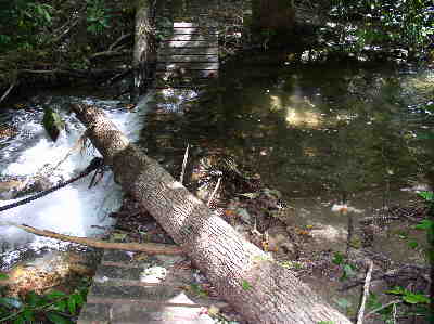 Here, a large tree has smashed a trail bridge into this stream near the Hwy. 130 bridge.