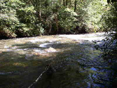 A view of the Whitewater River above the falls.