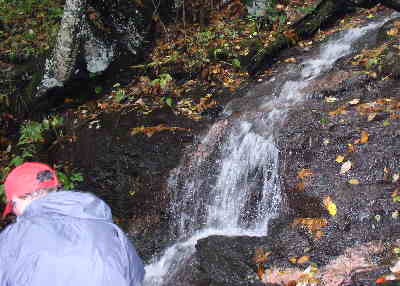Plenty of water from heavy rains the night before.