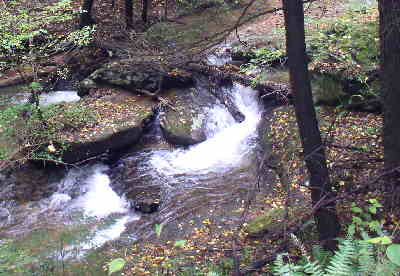 Nice view of some rapids along this stream