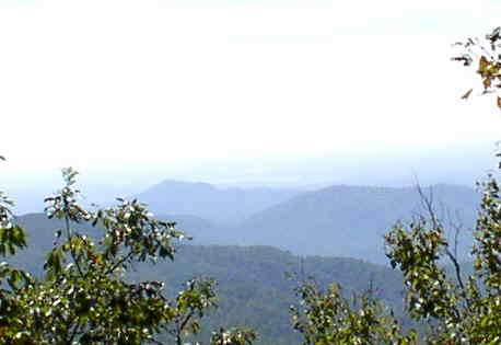 One other nice view on our way back down the trail to Laurel Valley.