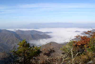 We hiked up the side trail up to Jones Knob and found this awesome view into the cloud-filled valley.