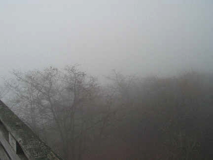The foggy view from the tower.