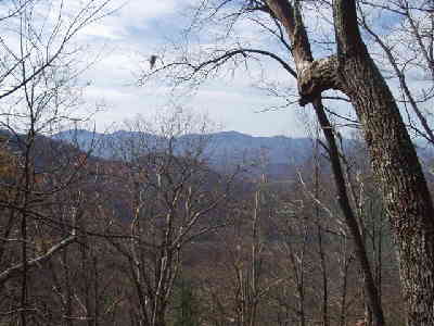A beautiful November day in the mountains!