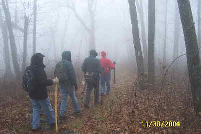 Walking through the cold mist and fog!