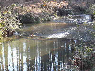 A nice view of the creek below the dam.