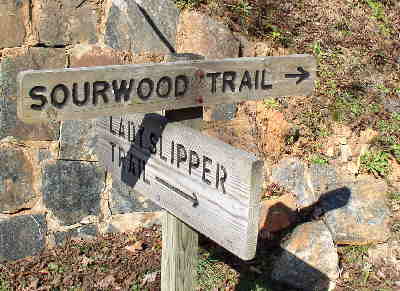 Next, we hiked the Sourwood Trail which is a 2.7 mile loop consisting of rolling woodlands and includes Nancytown Falls and Creek.