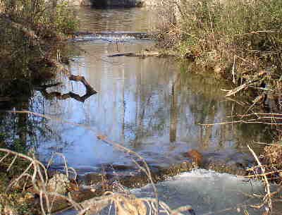 Another typical view along the creek!