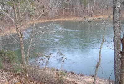 Nancytown Lake was partially frozen over after two nights in the teens.