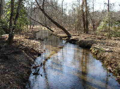 A stream leading into the upper end of Nancytown Lake.