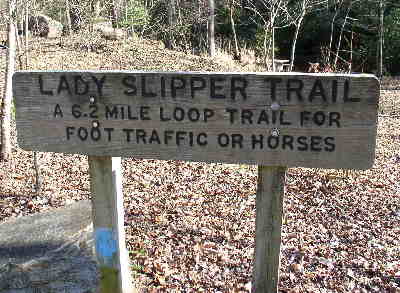After a half-mile walk, we arrive at the trail head.