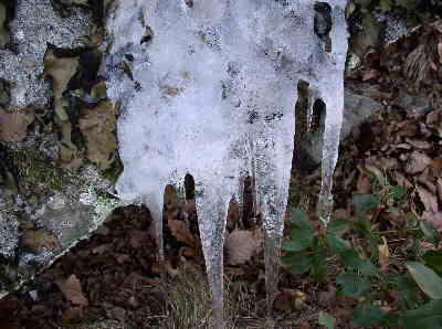 After a cold week, there were many patches of ice and icicles!