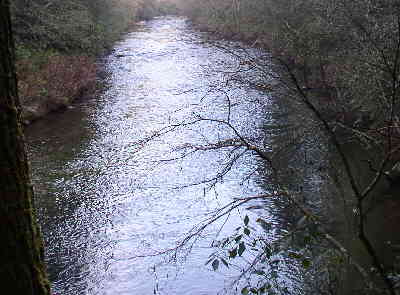 A nice view down the Chattooga River.