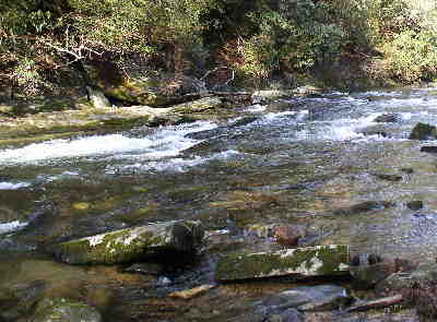 Most of the hike is very close to the river and provides nice views!