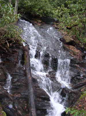 About a quarter mile into the hike, we pass this nice little waterfall.
