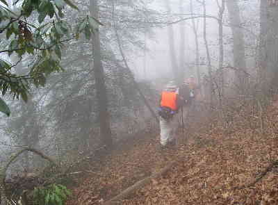 Most of the hike today was very foggy.