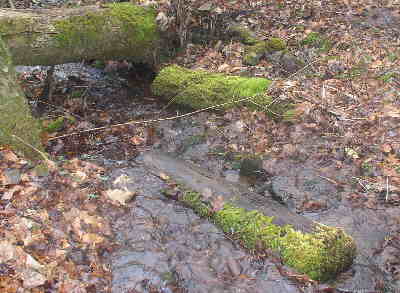 There are lots of small creeks and streams on this portion of the A.T.