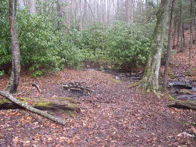 A nice camping spot on the creek just south of Swinging Lick Gap.