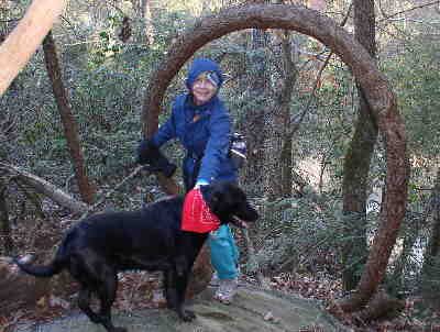 The famous circular Hemlock tree.