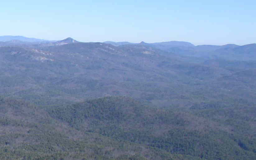 View four!