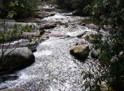 Looking from the bridge down the boulder-filled Thompson River.