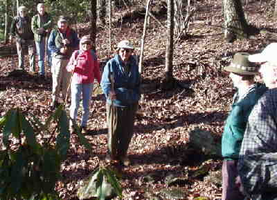 A beautiful day for a walk in the woods!
