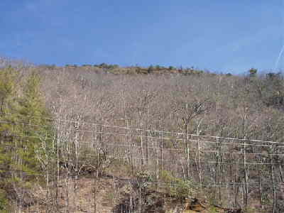 Looking up to Scaly Mountain.