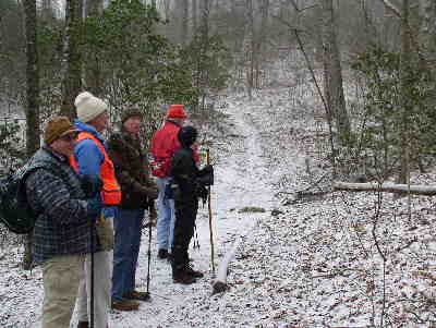 "You know, it looks like it is starting to snow a bit harder!"