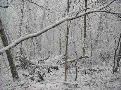 "This snow is getting serious!"
