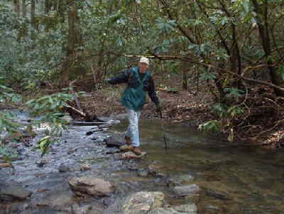 We had to rock hop across this creek.