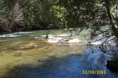 The beautiful Chattooga River!