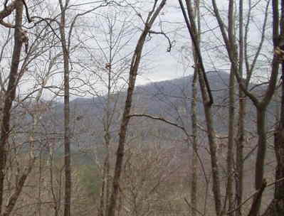 Nice hike in the mountains of GA/NC.