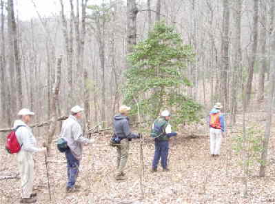 Another great day for a walk in the woods!