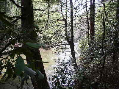 Along the trail, we get many nice views of the Chattooga River.