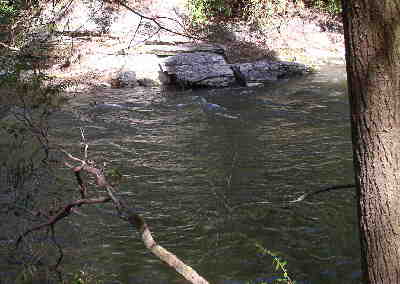Another trail-side river view.
