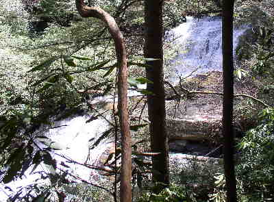 At Lick Log Creek, we first pass by the beautiful lower falls.