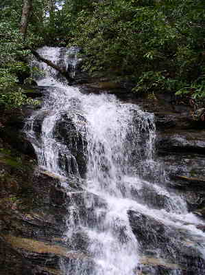 About a quarter mile into the hike, we pass beautiful Becky Branch Falls.