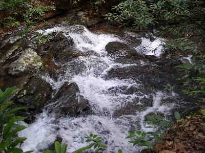 This hike features lots of nice mountain stream views.