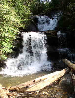Awesome Martin Creek Falls!