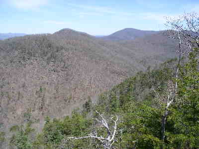 A view from Pinnacle Knob!