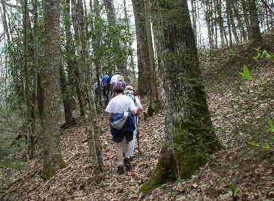 The Park Creek trail has only gentle hills .