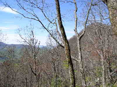 Continuous nice mountain views along the trail. Especially since the leaves are not yet out.