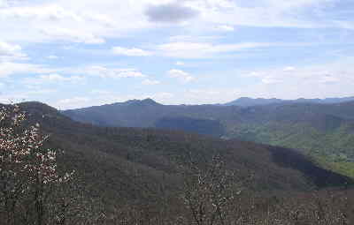 View from Wolf Rock! (Service Berry Tree blooming on left)