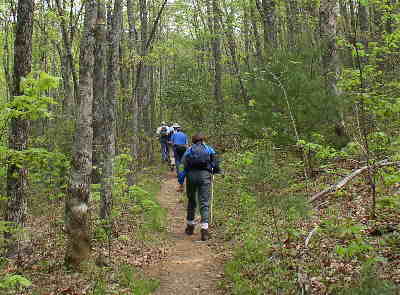 This portion of the A.T. is mostly lush hardwoods with great wildflower habitat.