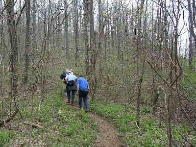 As we gain elevation, you can see that the trees haven't yet leafed out !